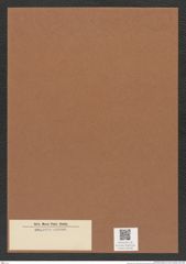 Diatomeae indet. Zeichnungen Sammlung Grunow Mappe 04346 (Herbarium_W_Grunow_drawings_Folder_04346)